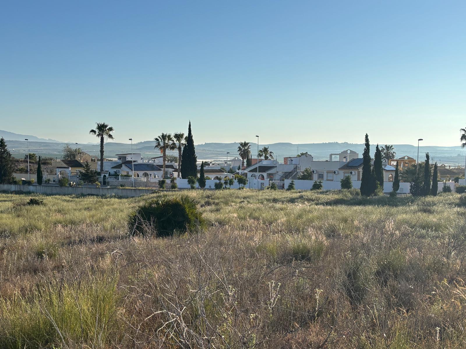 Camposol view