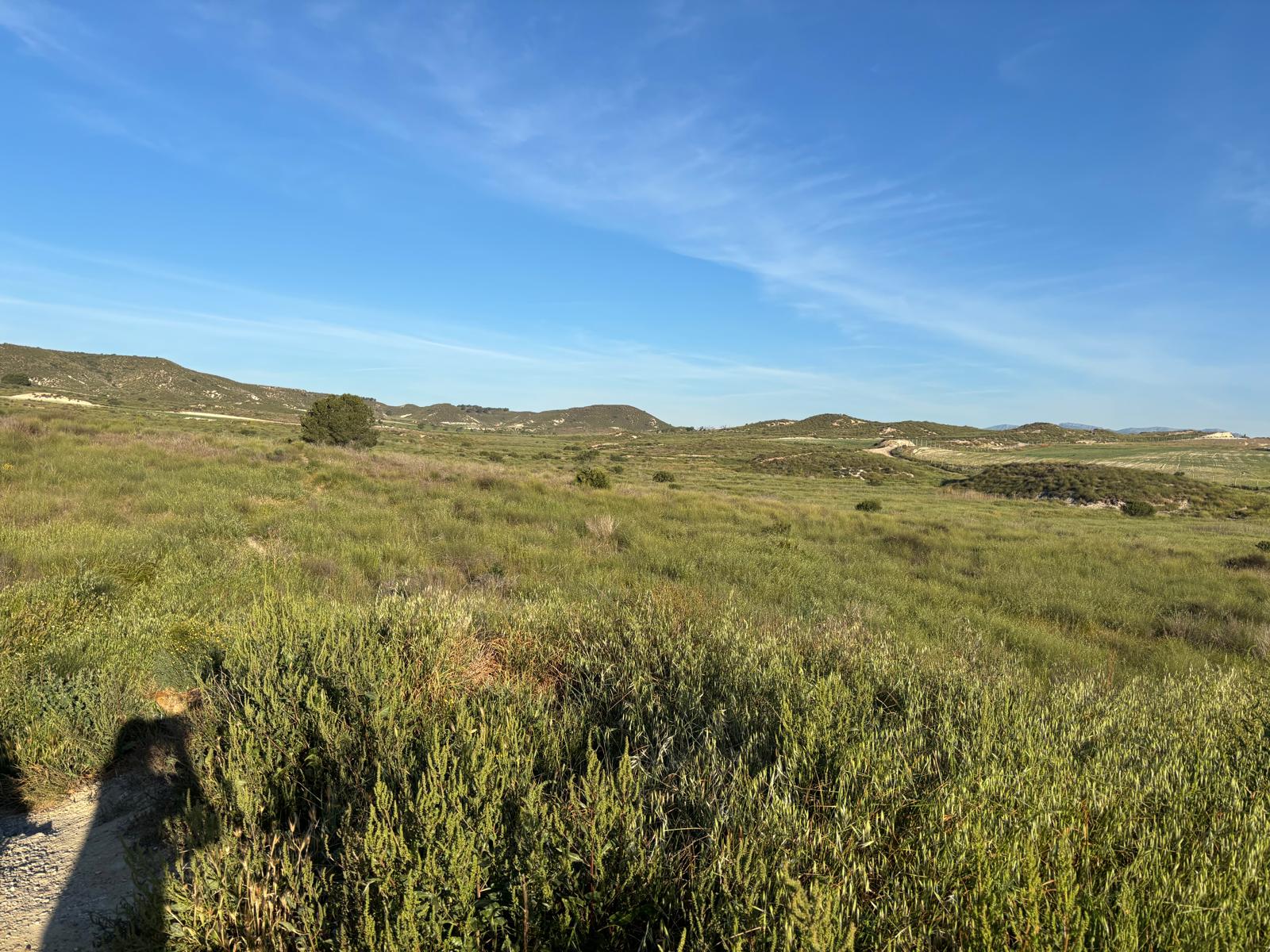 Camposol view