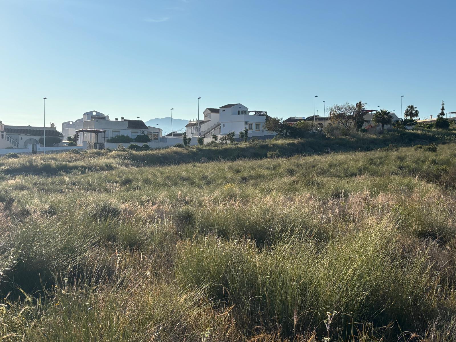 Camposol view