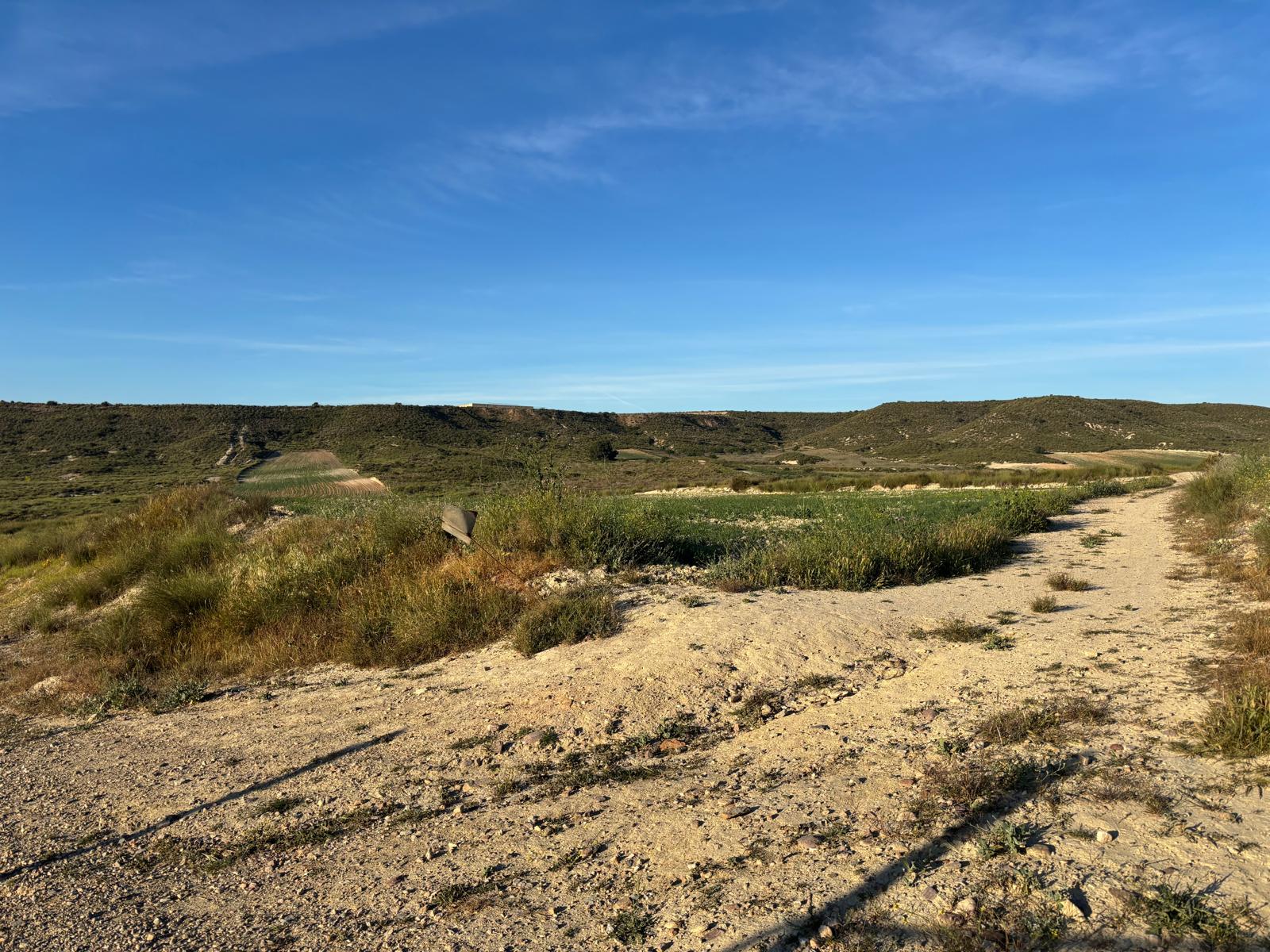 Camposol view