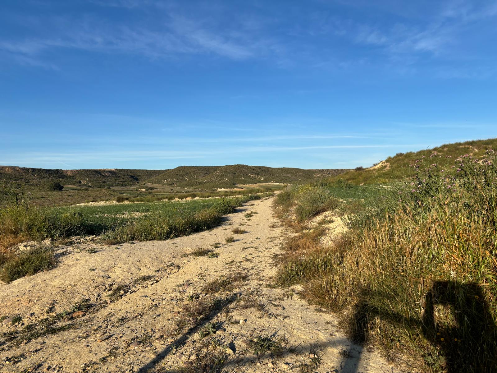 Camposol view
