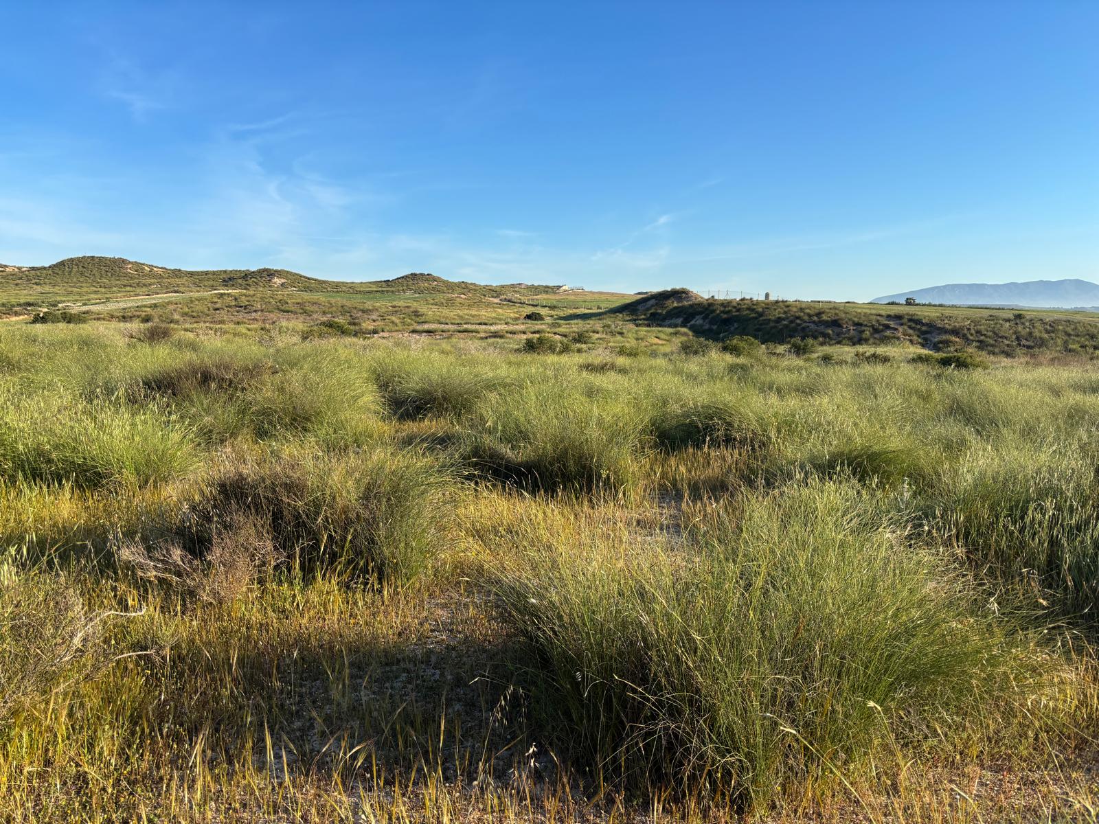 Camposol view