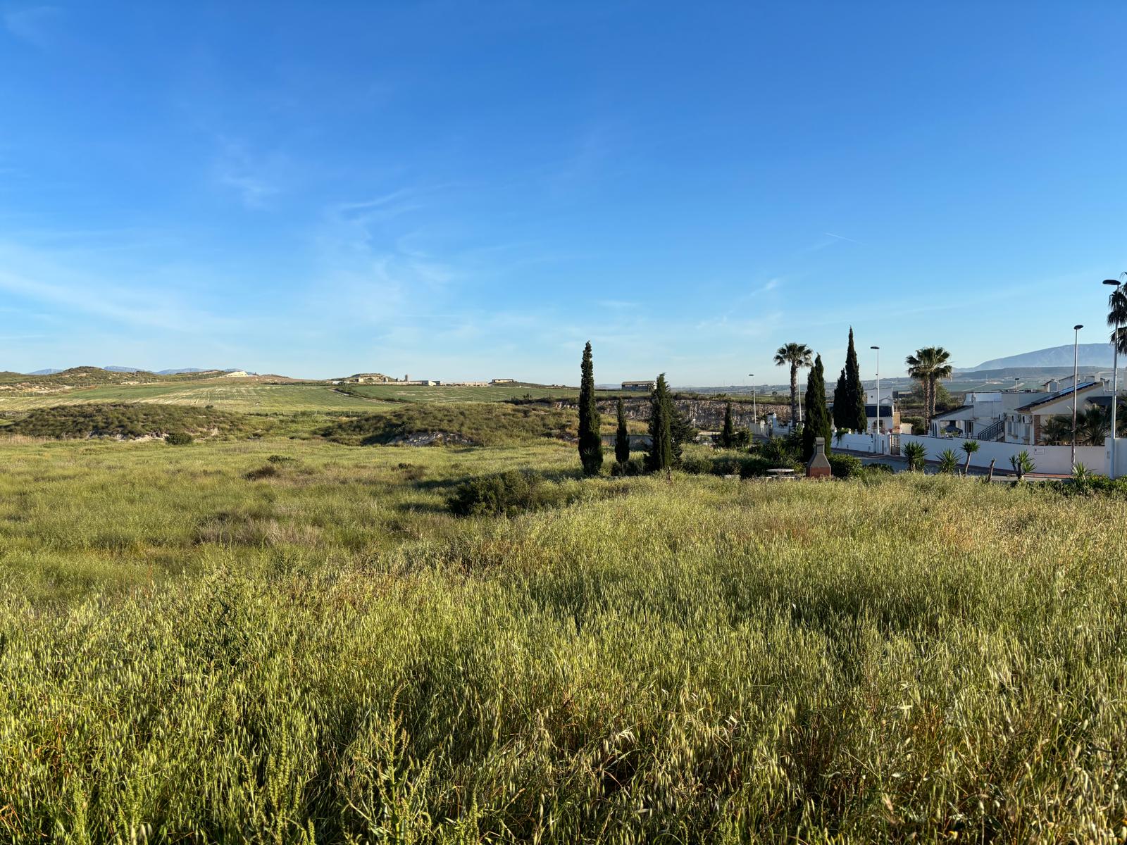 Camposol view