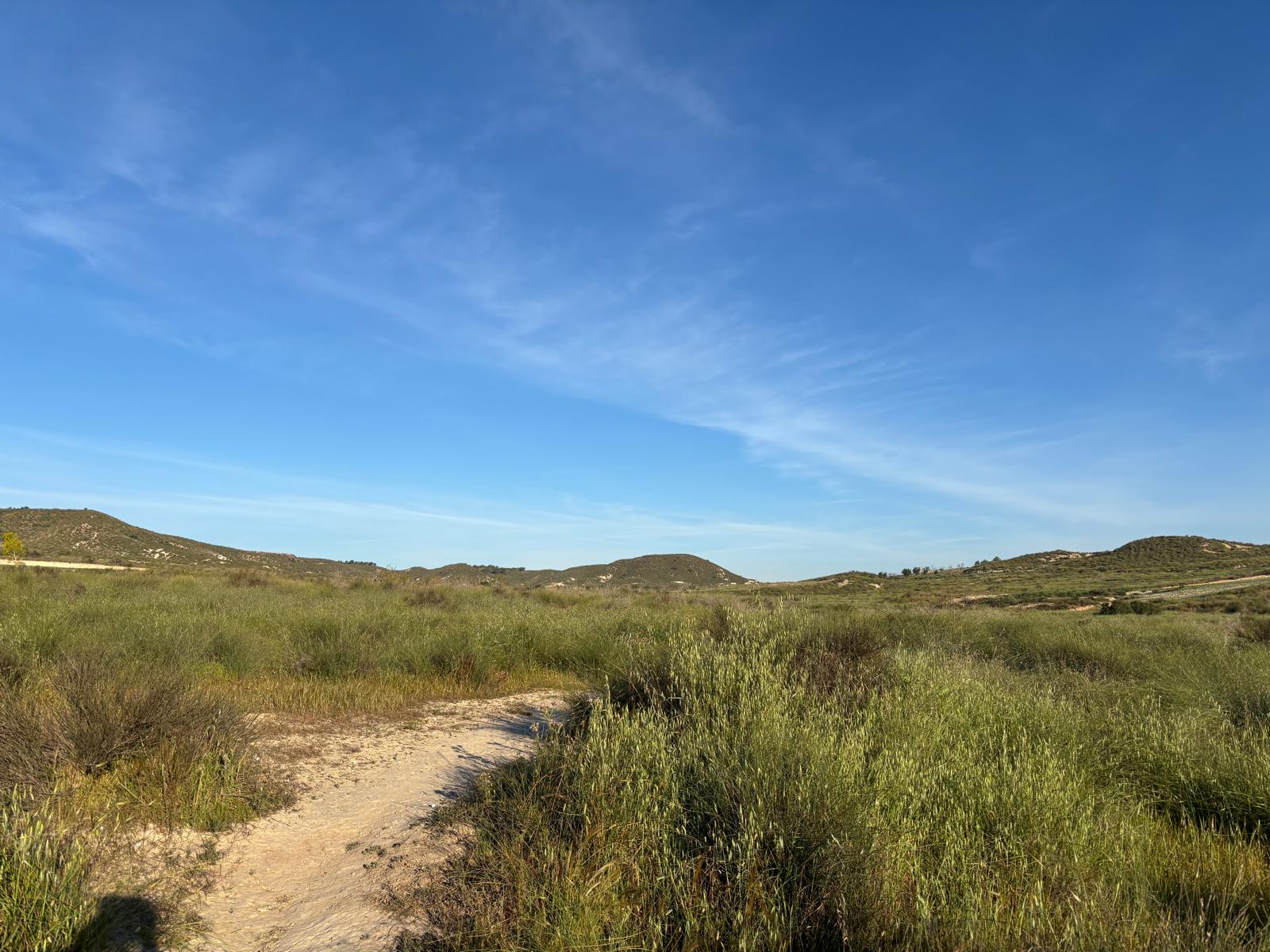 Camposol view