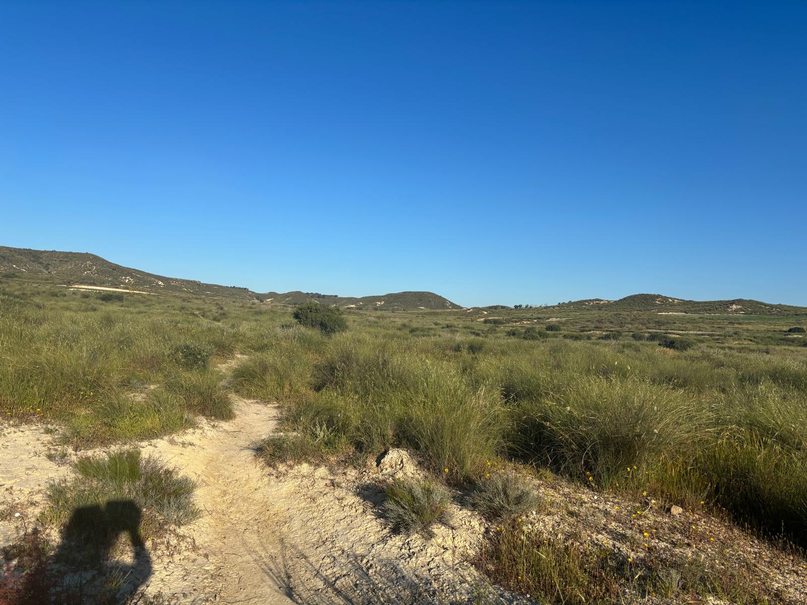 Camposol view