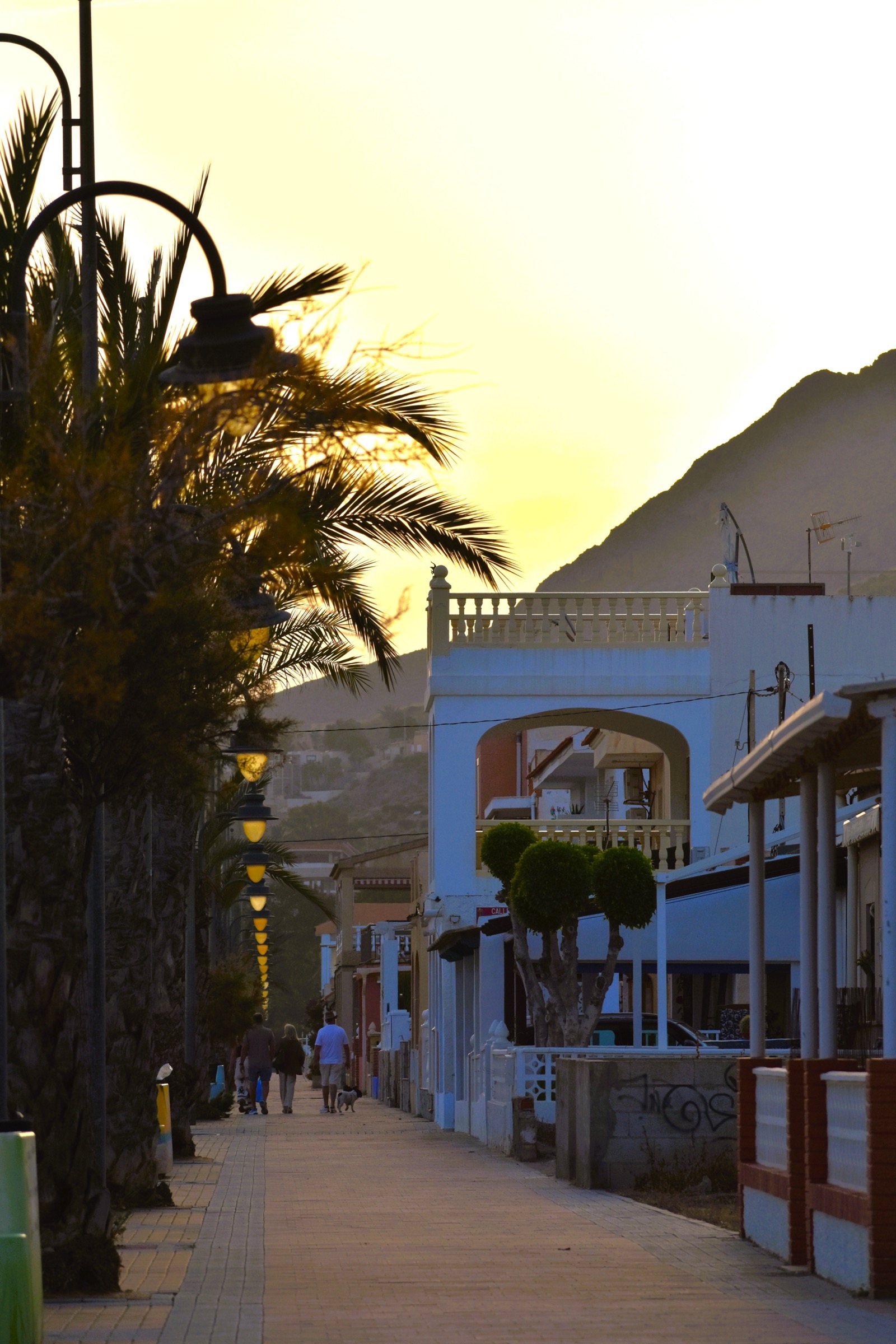 The palm-lined seafront promenade at Bolnuevo at dusk