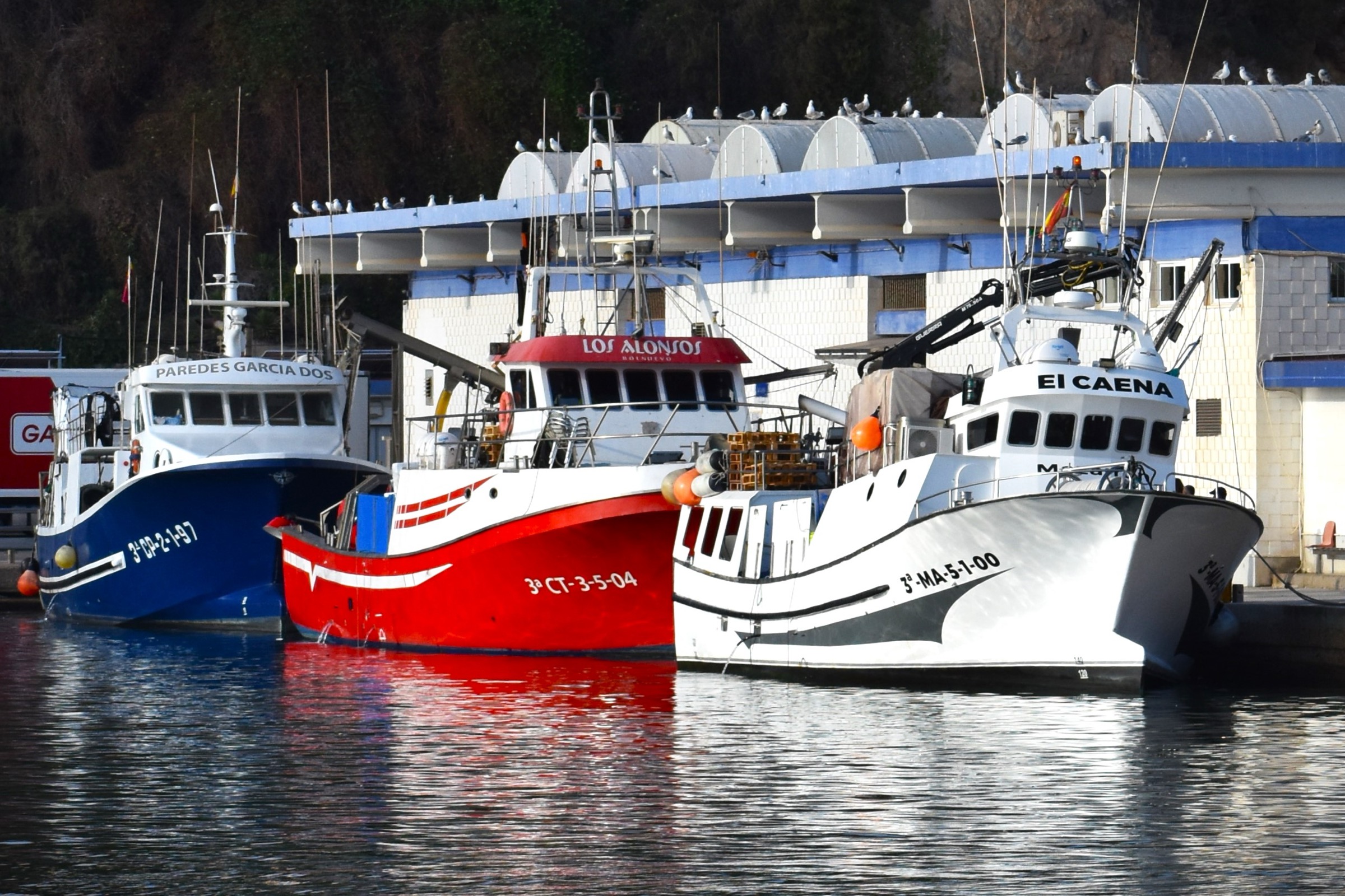 Colourful fishing boats moored at Puerto de Mazarrón