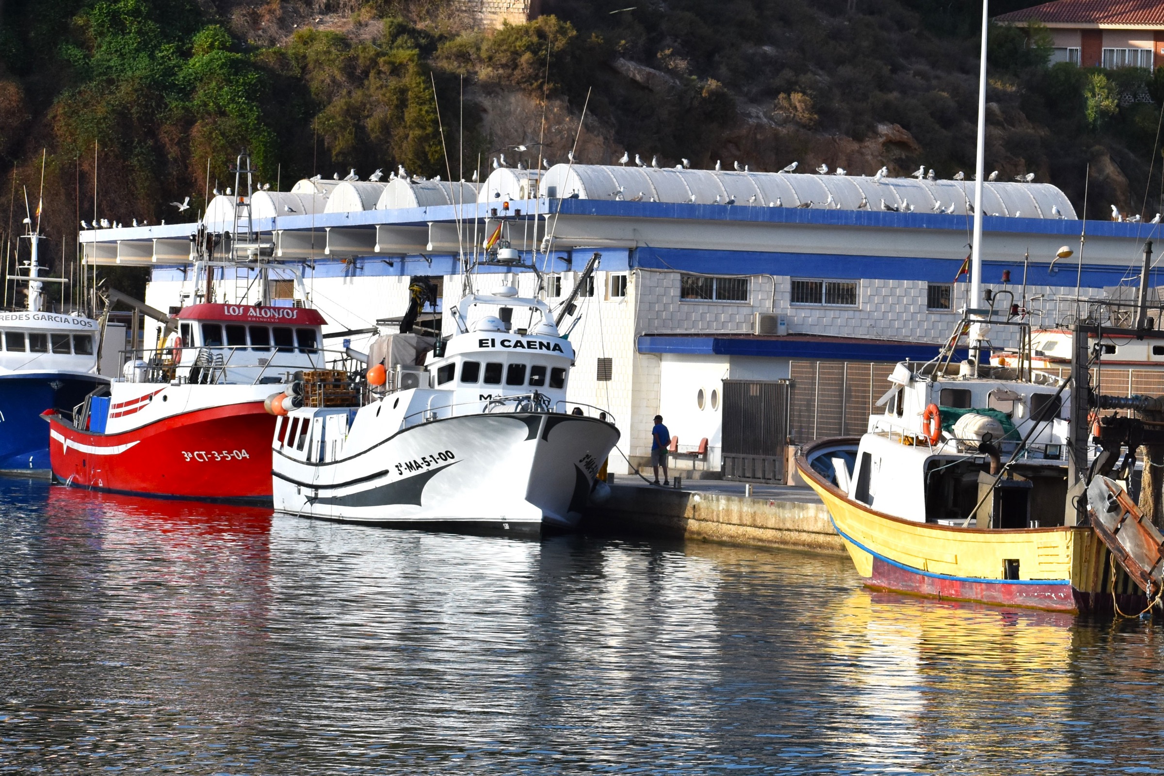 Colourful fishing boats at Puerto de Mazarrón