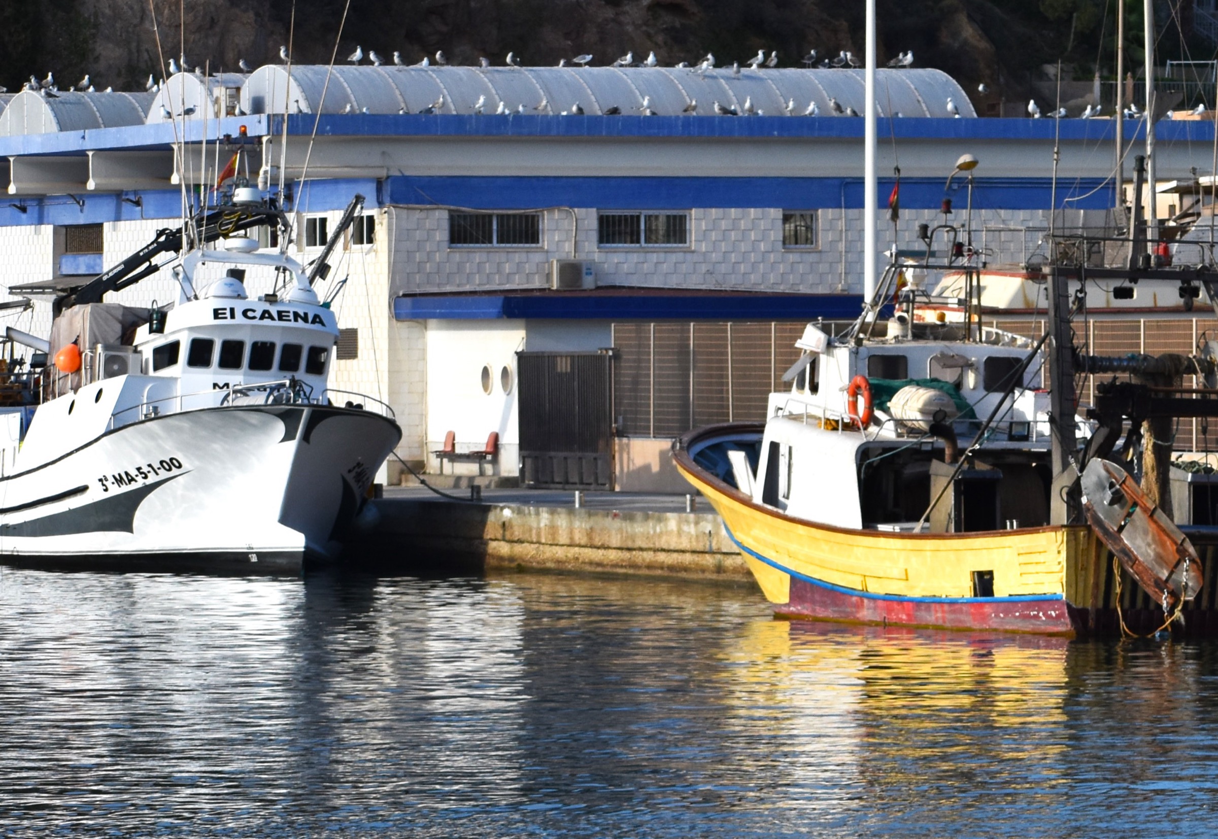 Fishing boats at the quay, Puerto de Mazarrón
