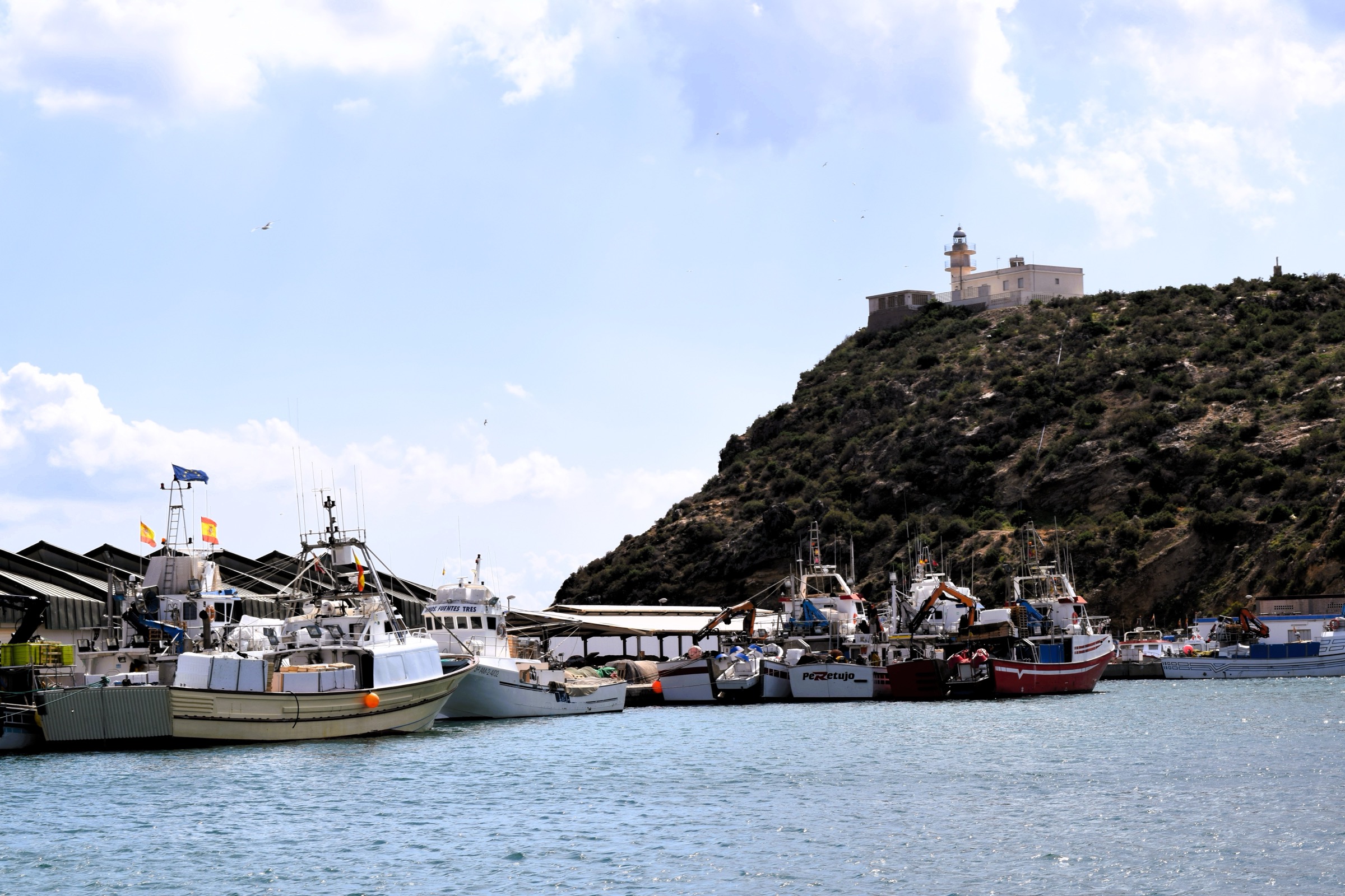 The fishing fleet in the harbour at Puerto de Mazarrón