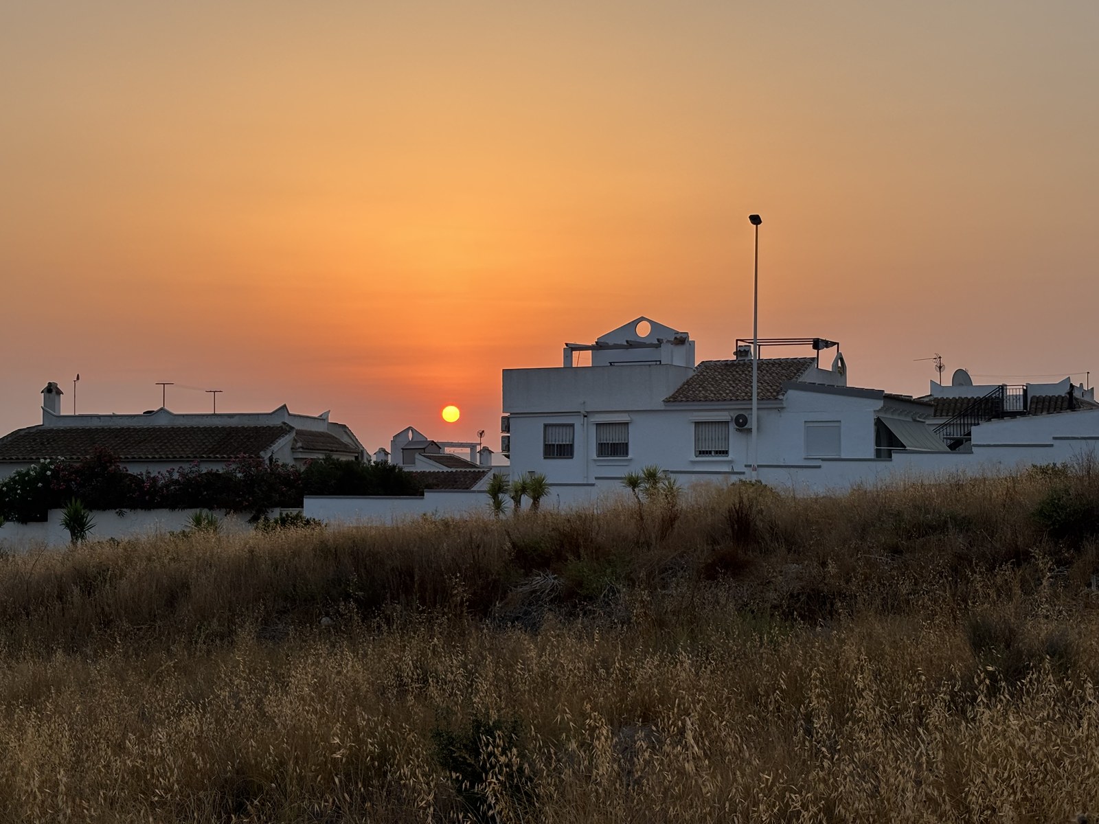 Sunrise over Sector C, Camposol