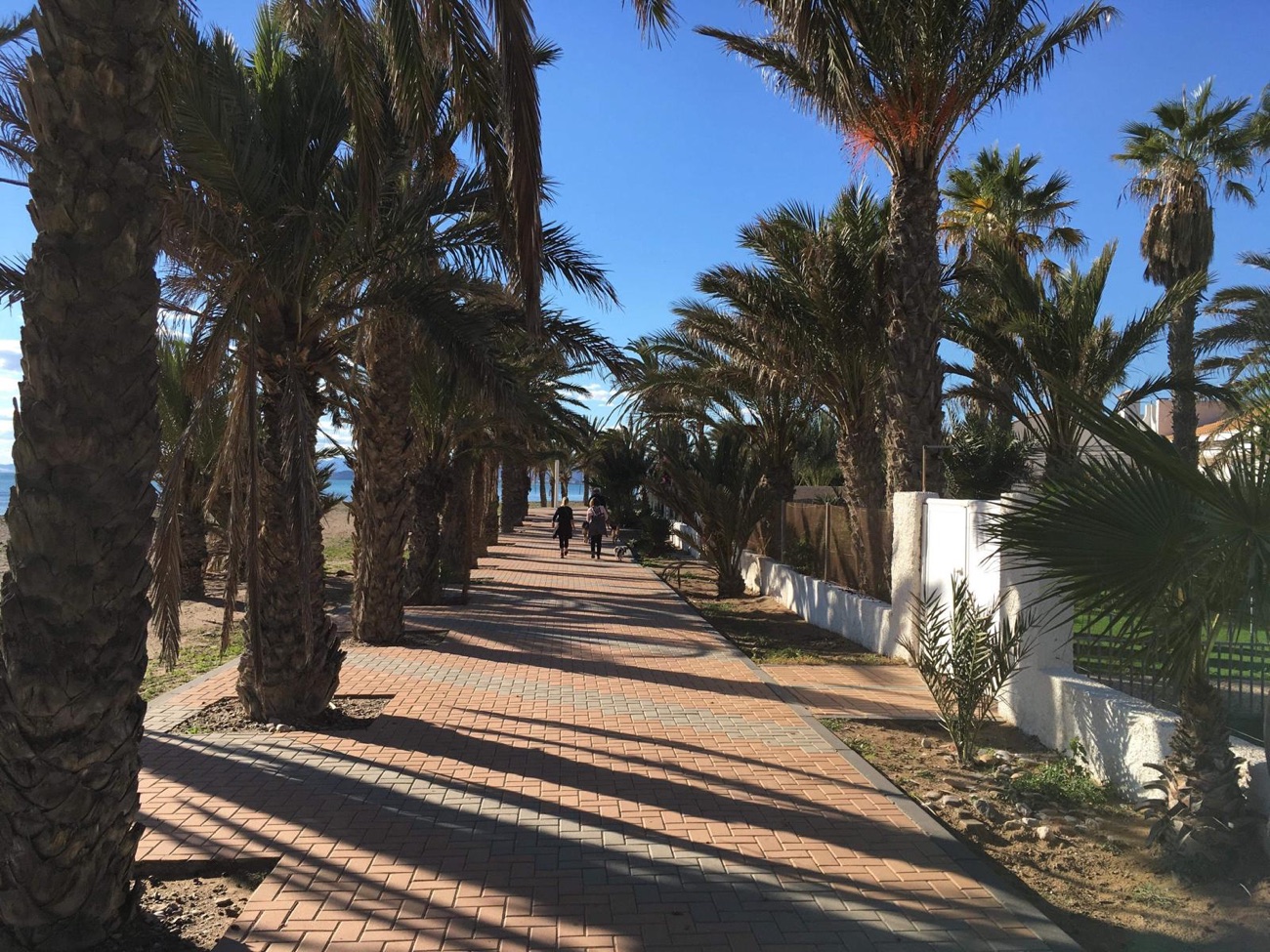 Beach walk