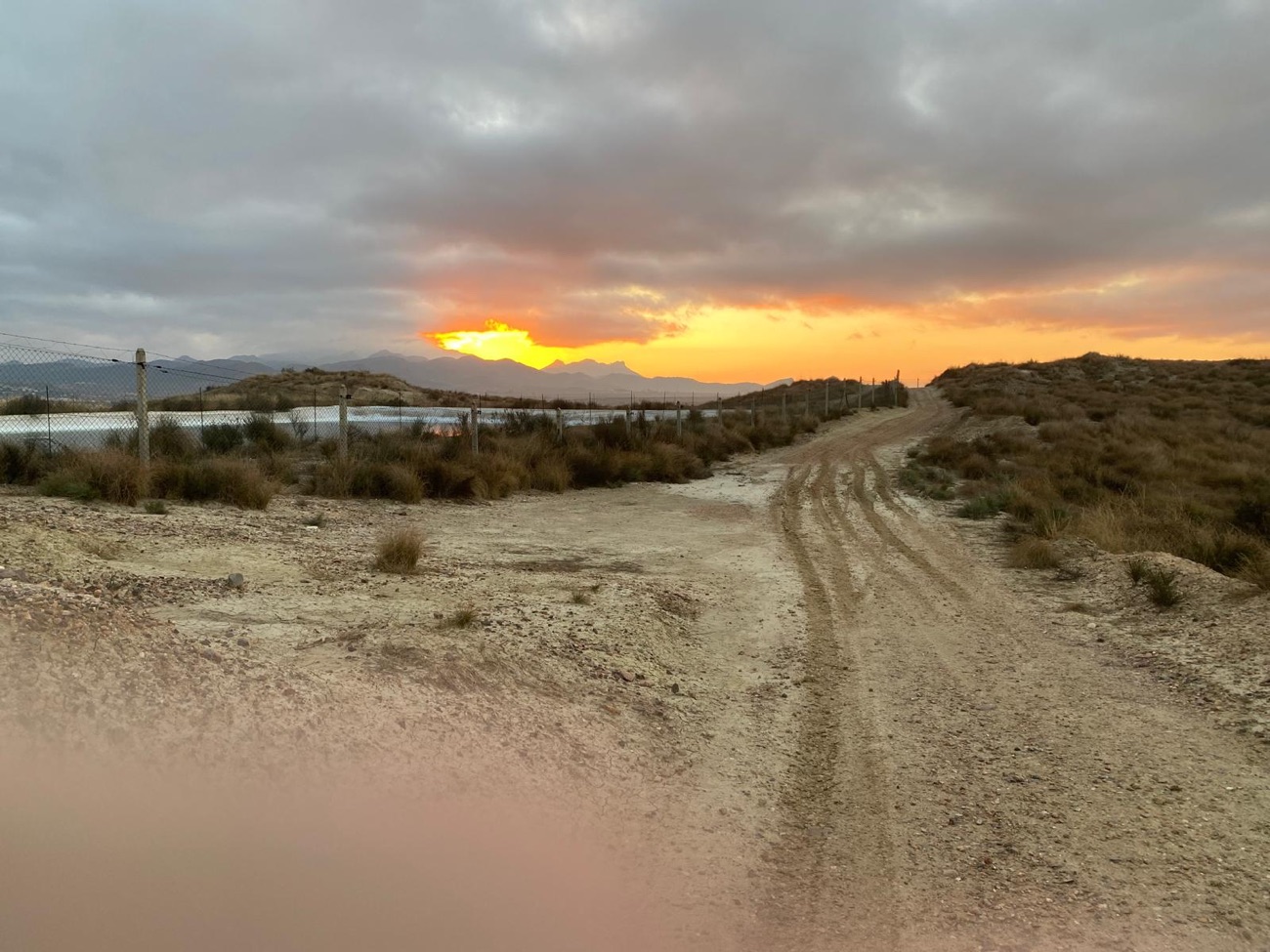 Sunsets