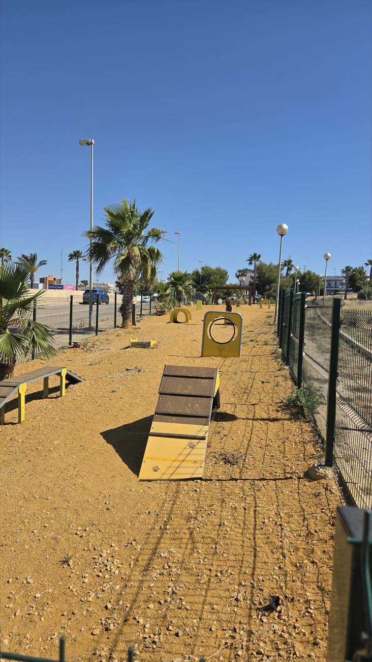 The Dog Park in <span>pictures</span>
