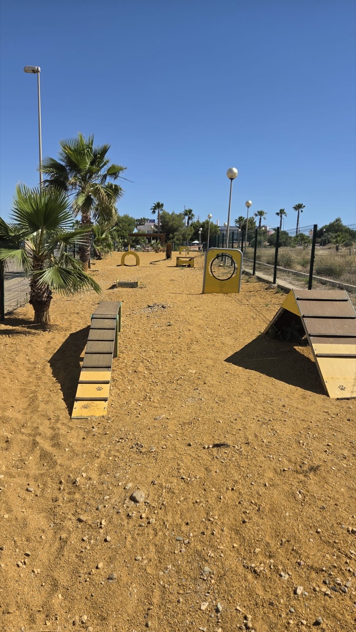 The Dog Park in <span>pictures</span>