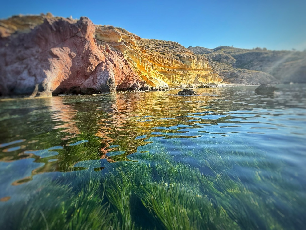 Kayak