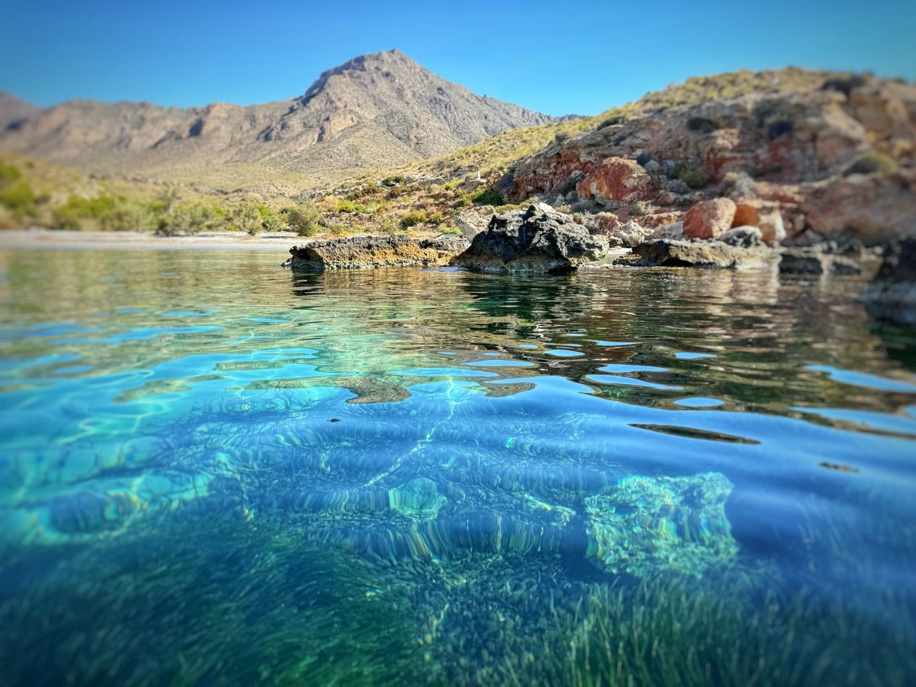 Kayak