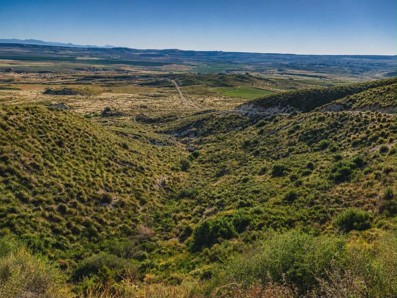 Sector D