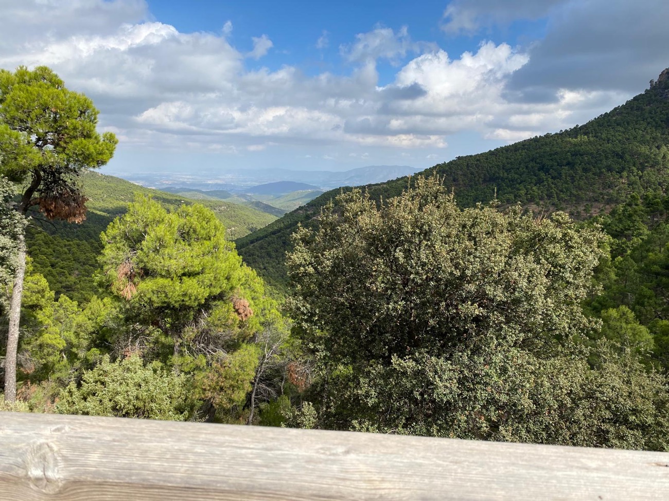 Sierra Espuna