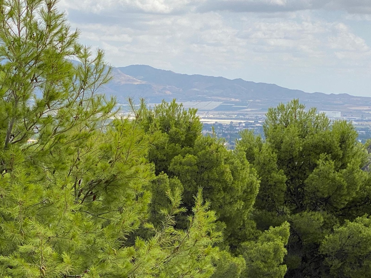 Sierra Espuna