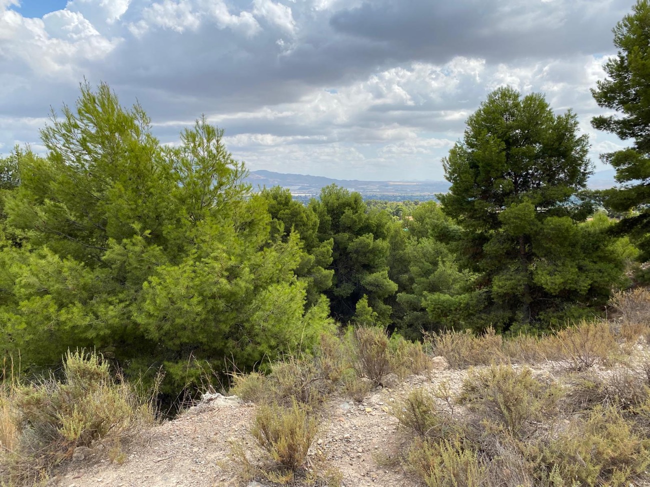 Sierra Espuna