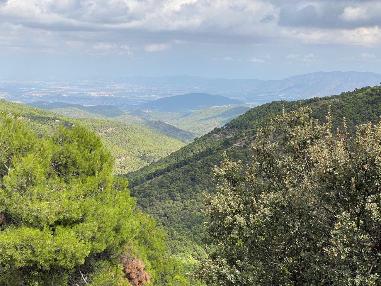 Sierra Espuna