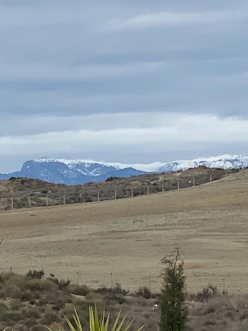 Sierra Espuna