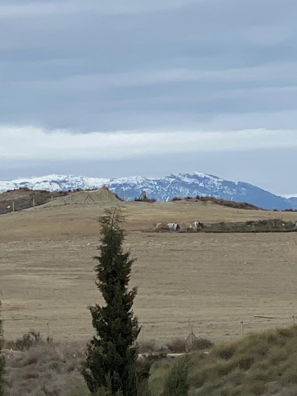 Sierra Espuna