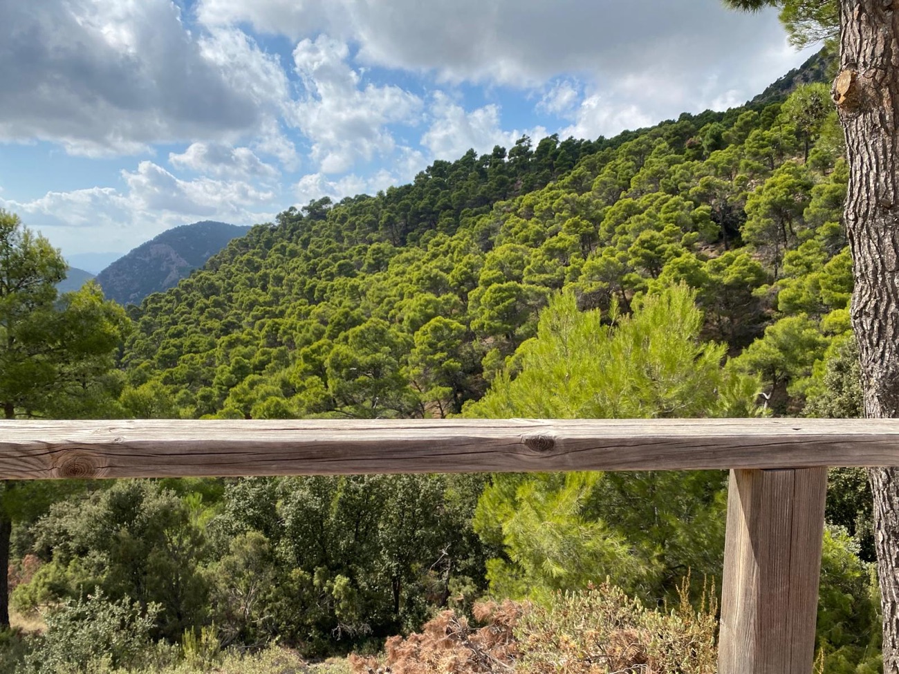 Sierra Espuna