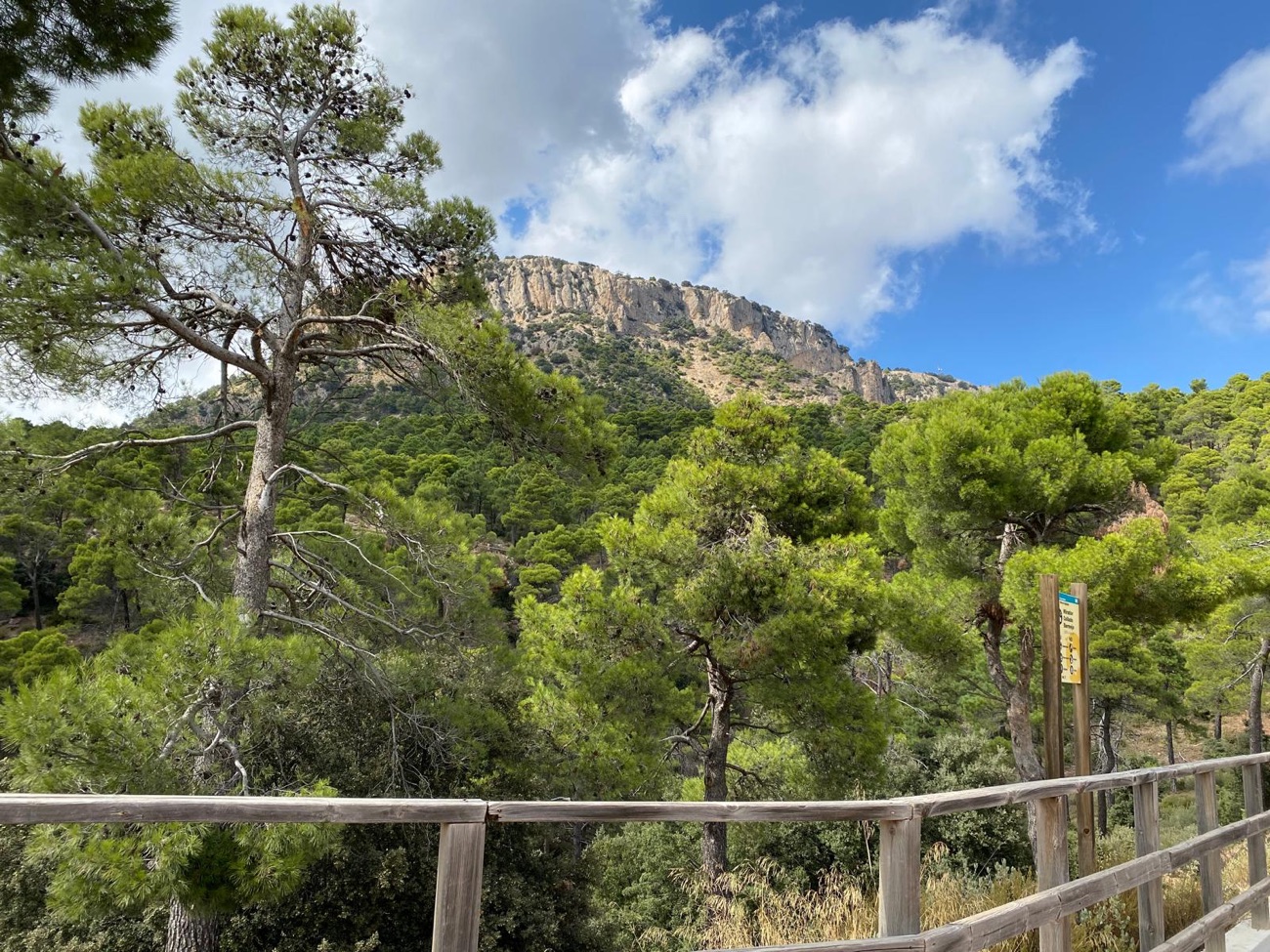 Sierra Espuna