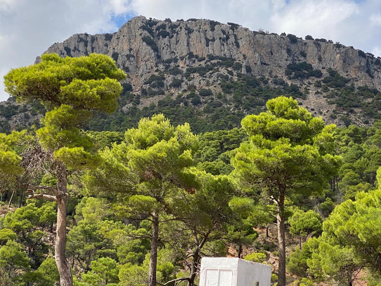 Sierra Espuna