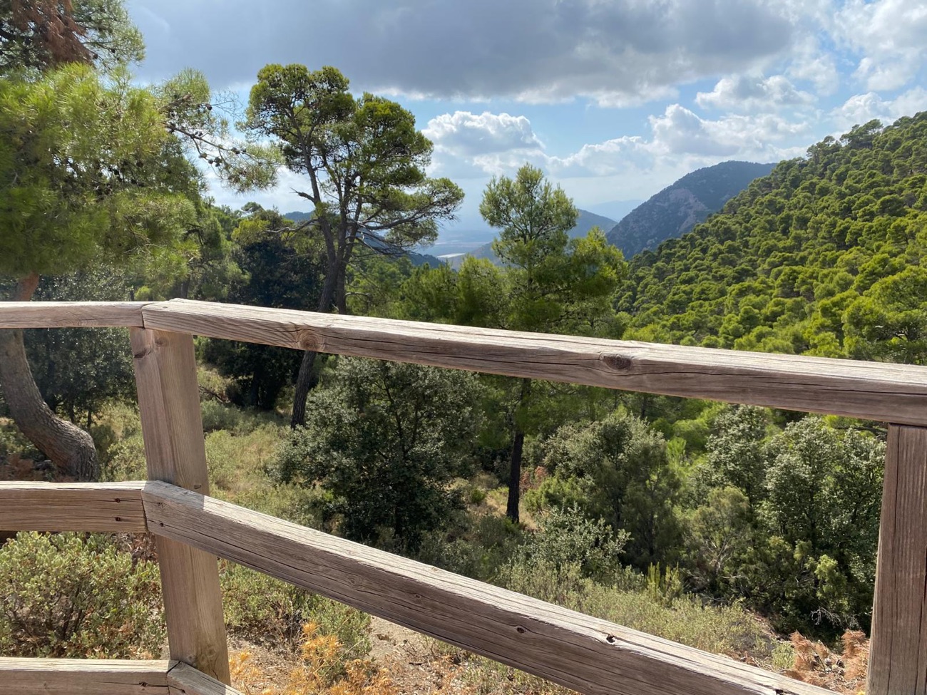 Sierra Espuna