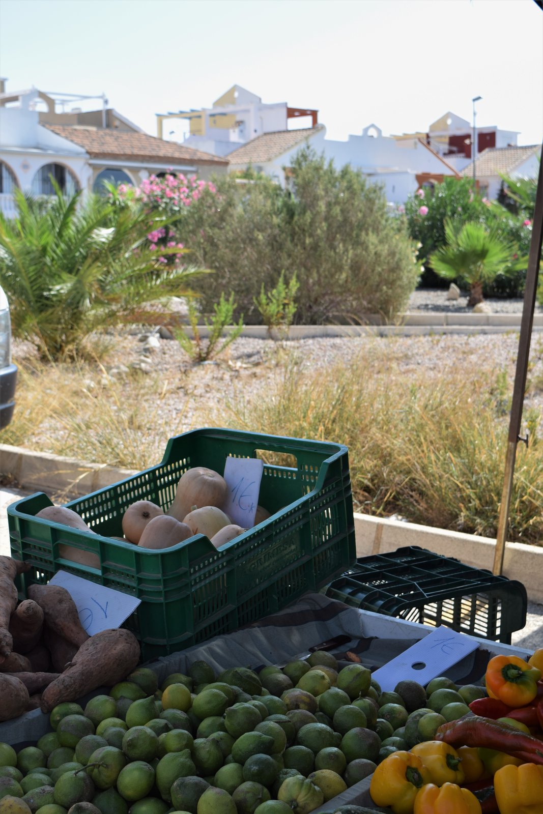 Camposol Thursday Market