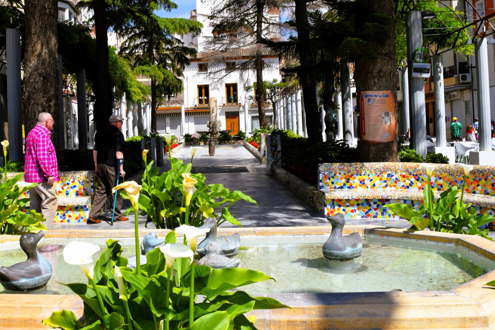 A fountain among the calla lilies at the Jardin de los Patos, Alhama de Murcia
