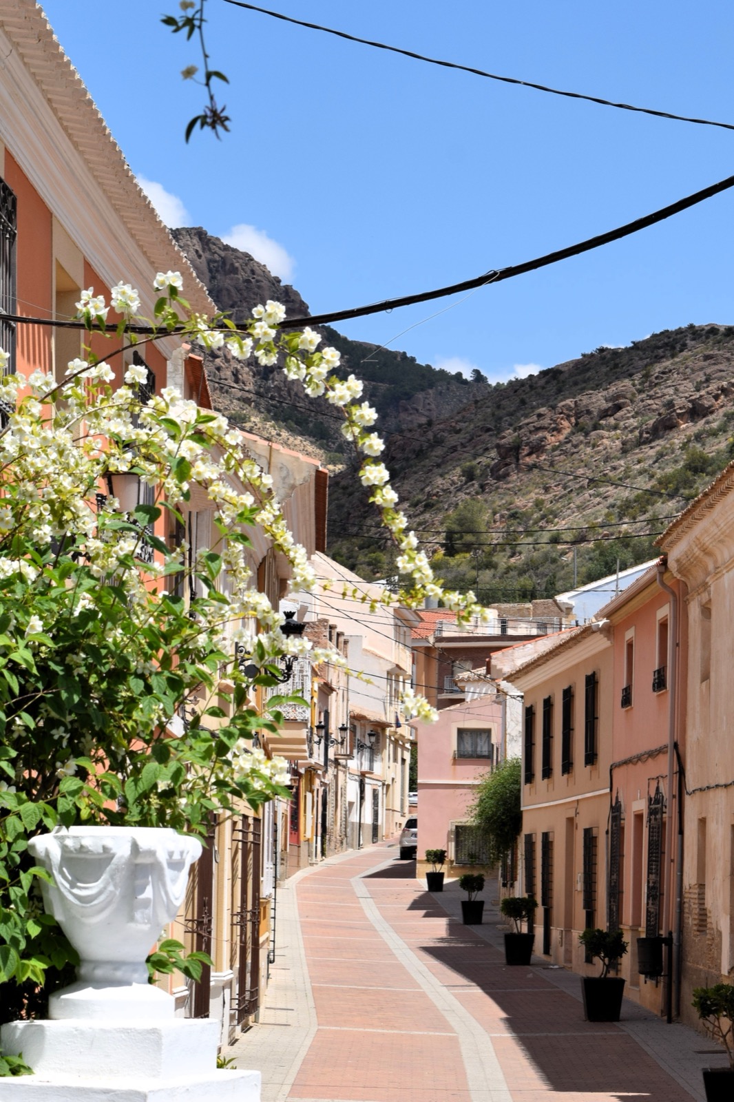 A blossom-lined street in Alhama de Murcia