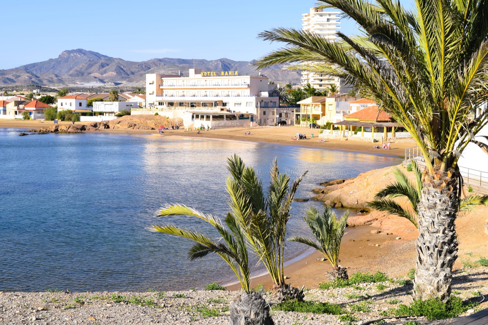 Playa de Bahia bay with the Hotel Bahia palms and mountains, Costa Calida