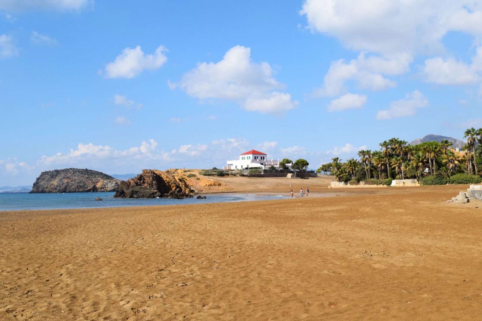 The wide golden sands of Playa de la Pava with the headland and palms, Costa Calida