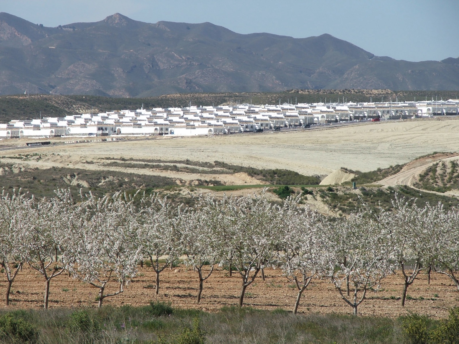 Camposol D sector in March 2006, the new white villas across the plain with the mountains behind