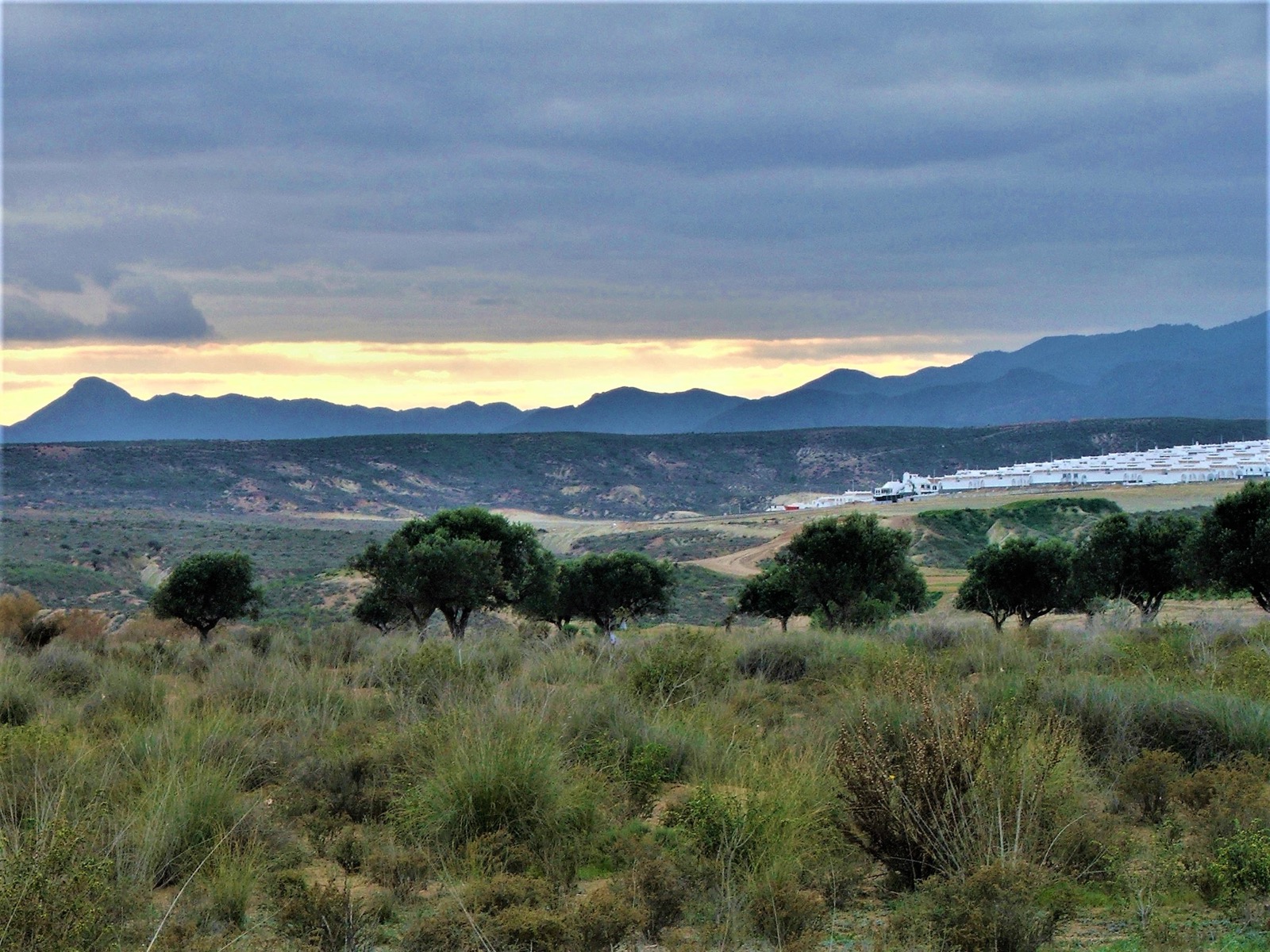 Camposol D sector in March 2006, the new white villas across the plain with the mountains behind