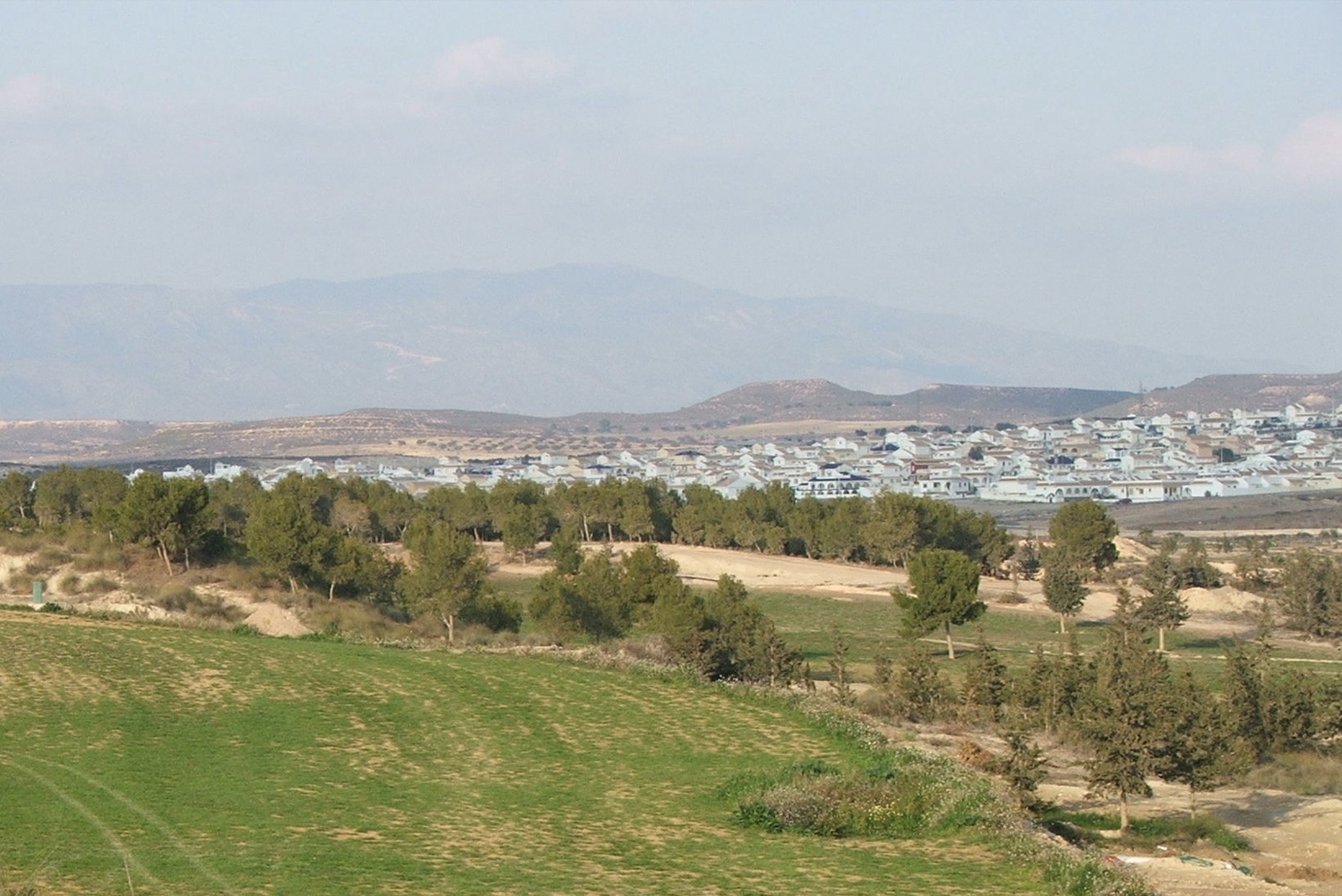 The course and pines with Camposol beyond, January 2006