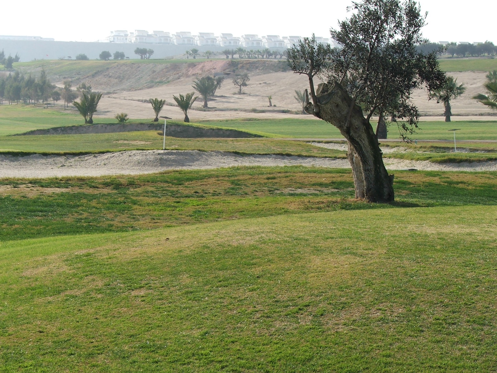 Camposol golf course under construction, 2007