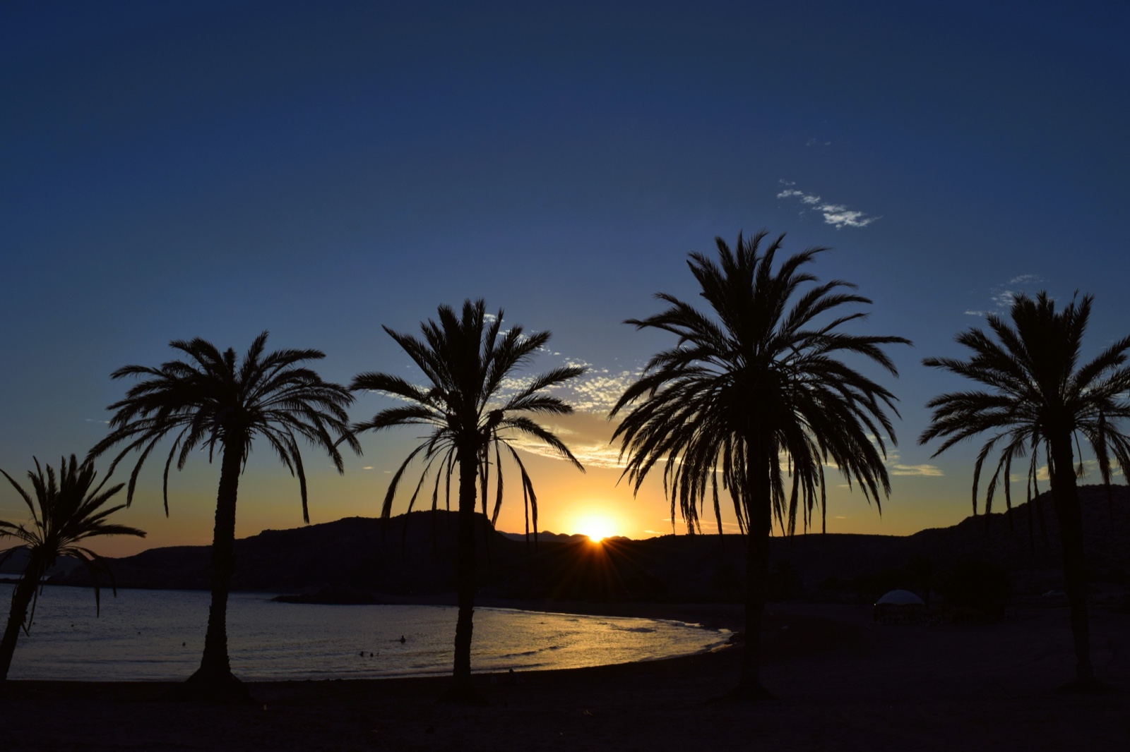 Sunset over Playa de Percheles with palm silhouettes, Costa Calida