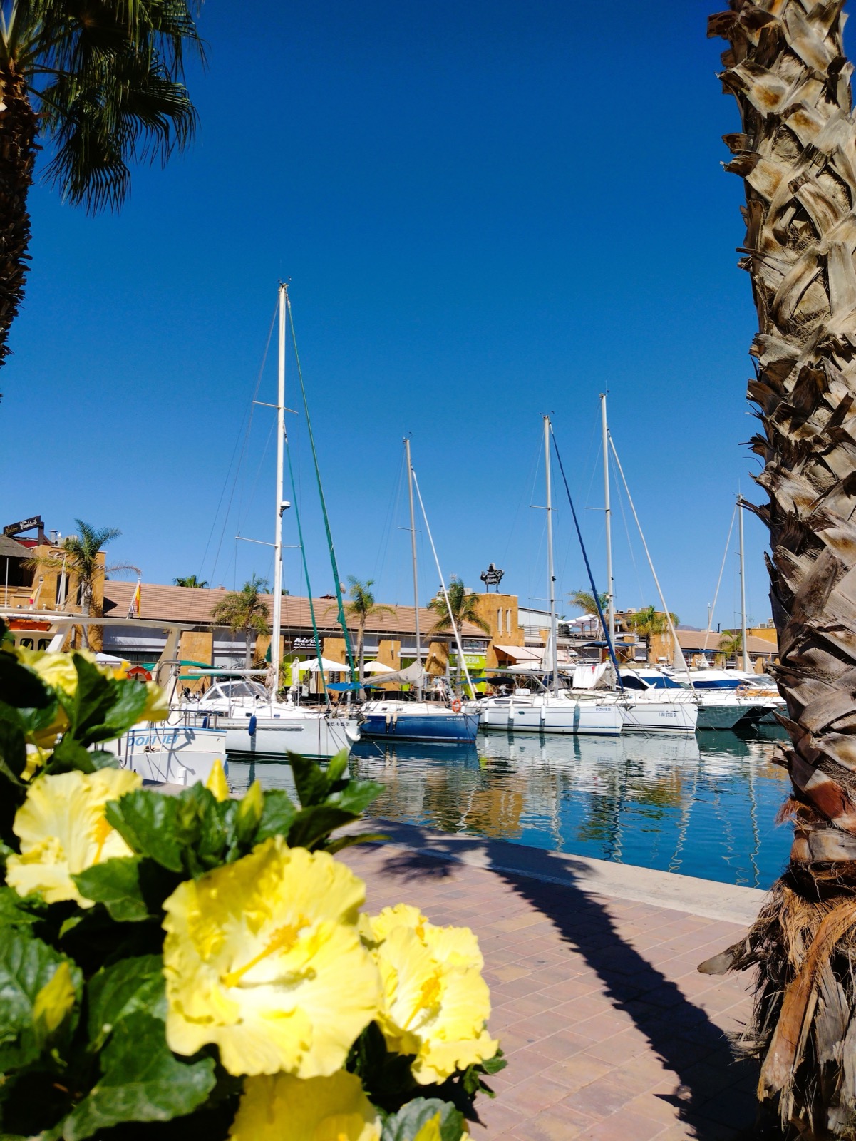 Yachts moored in the marina at Puerto de Mazarron
