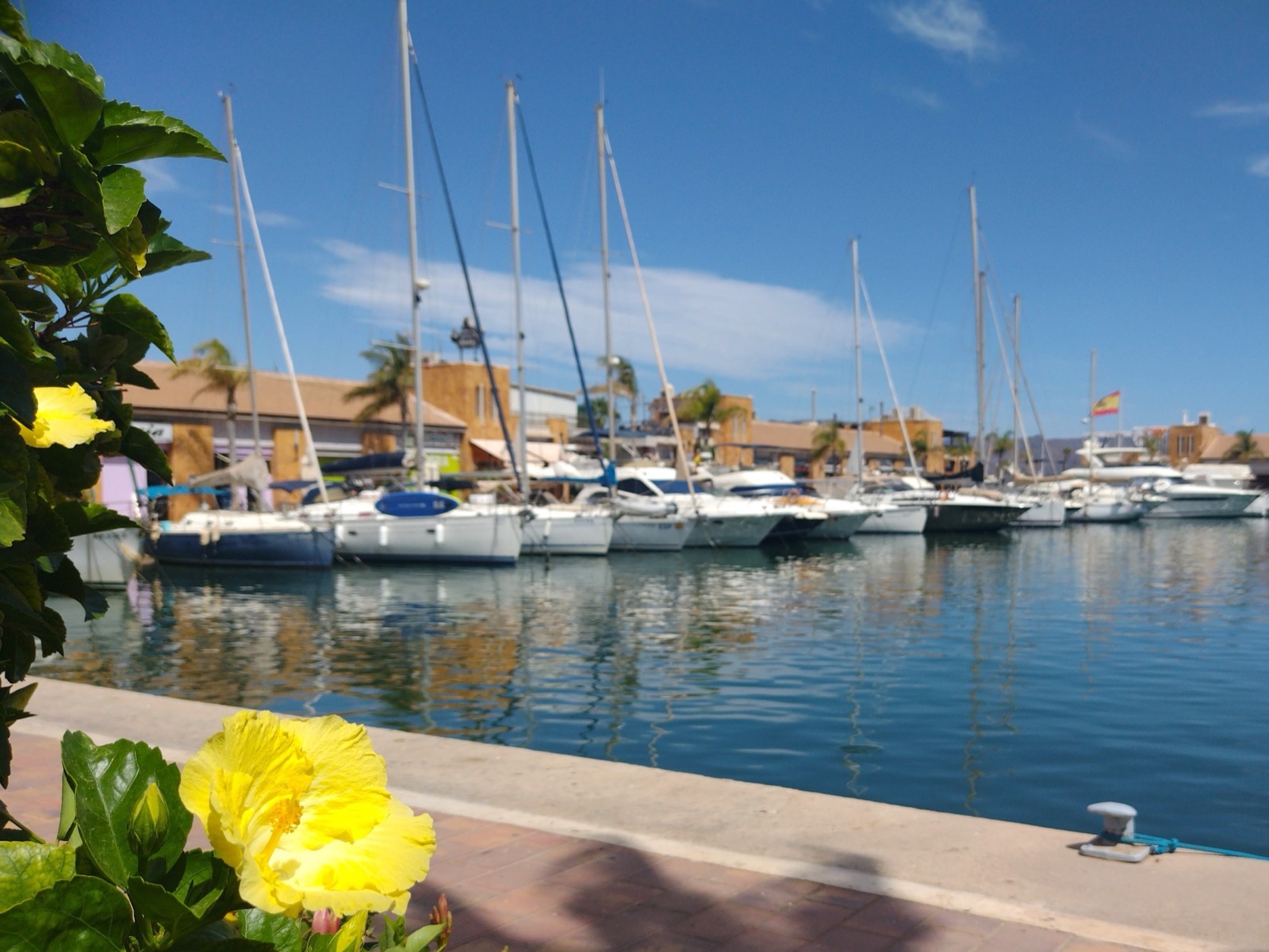 The marina at Puerto de Mazarron framed by hibiscus flowers