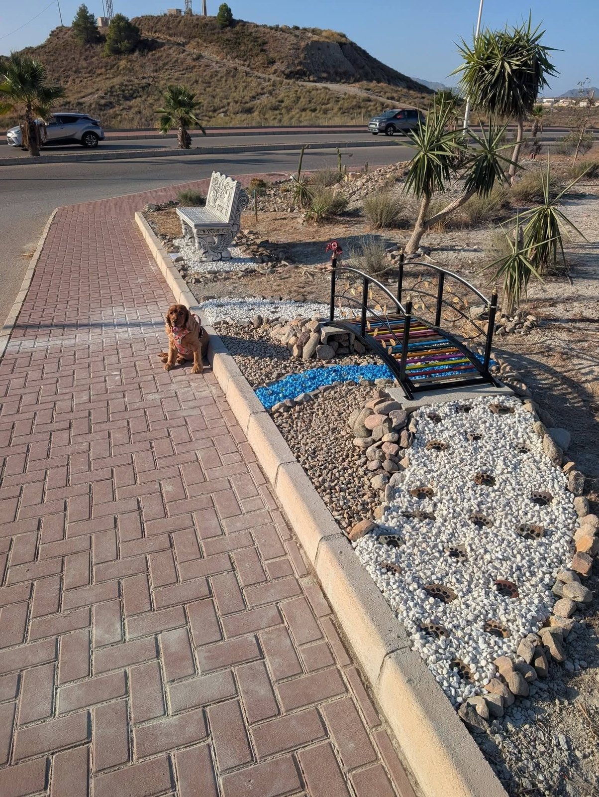 A dog sitting beside the Rainbow Bridge remembrance area