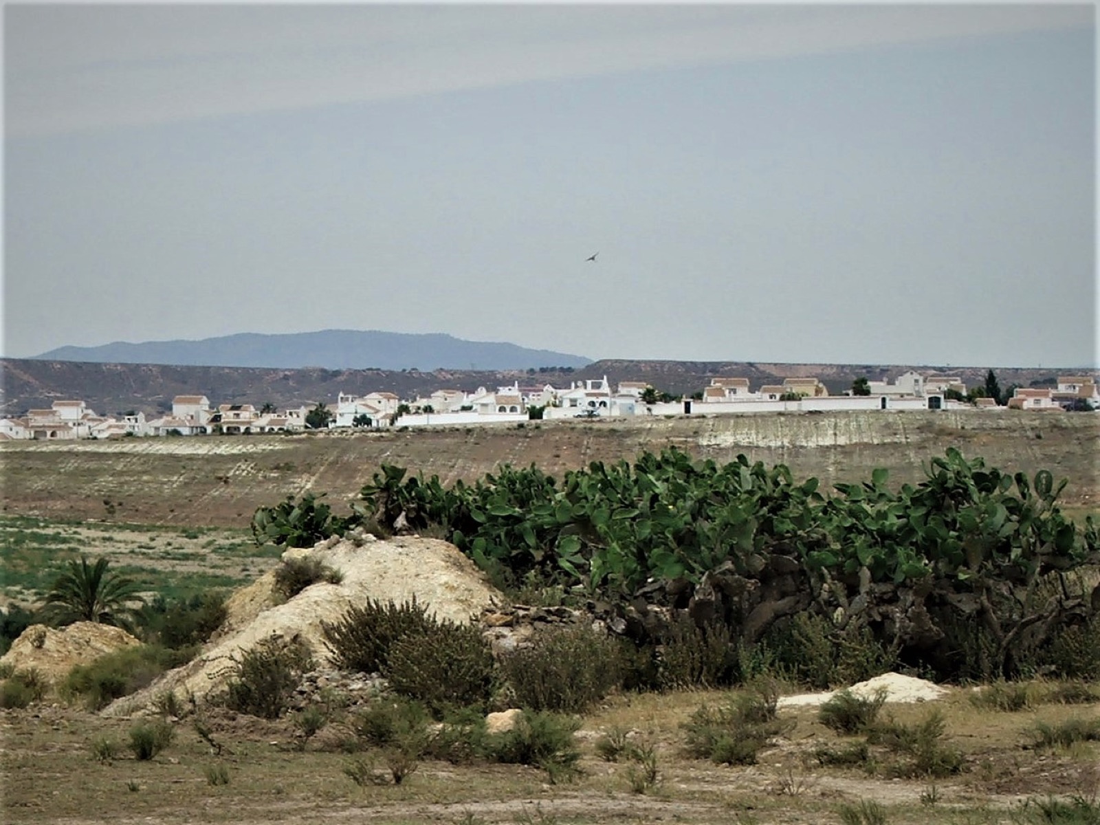 A 2006 view of Camposol Sector A from the Via Verde greenway, white villas across the plain with mountains behind