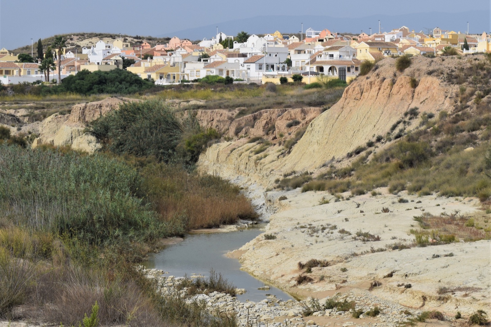 Sector B above the rambla, Camposol