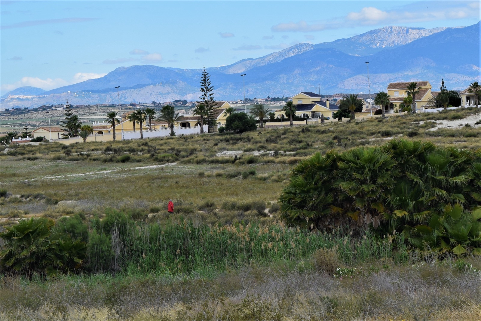 Sector B villas and the mountains beyond, Camposol