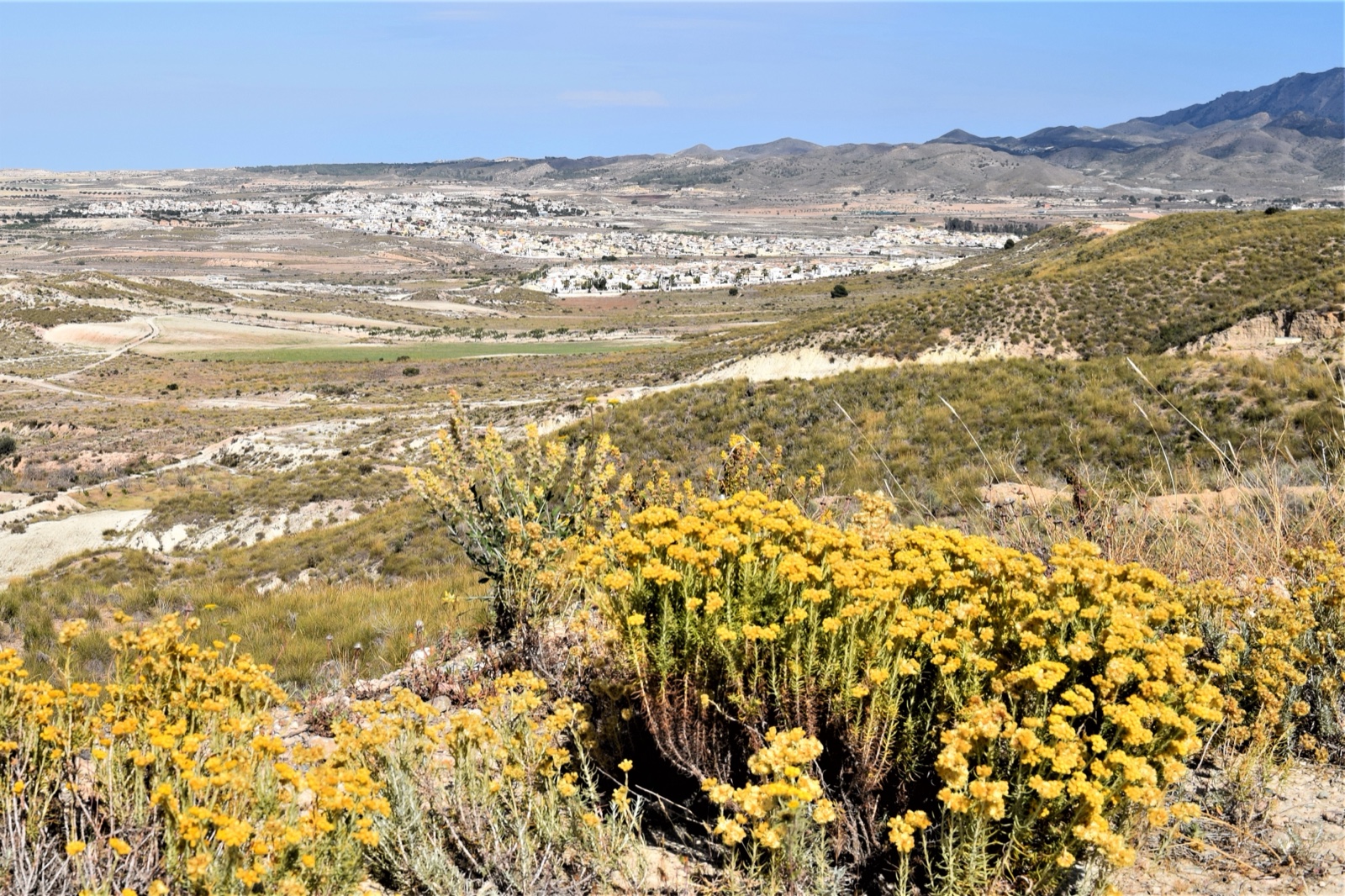 Camposol across the plain seen from the reservoir above D sector