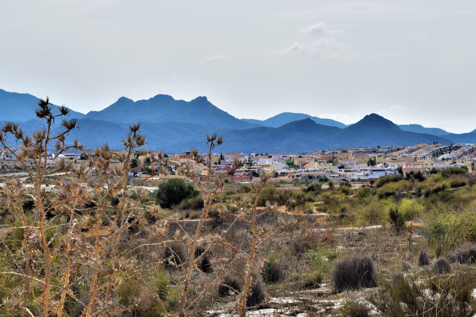 Camposol D sector across the plain with mountains behind
